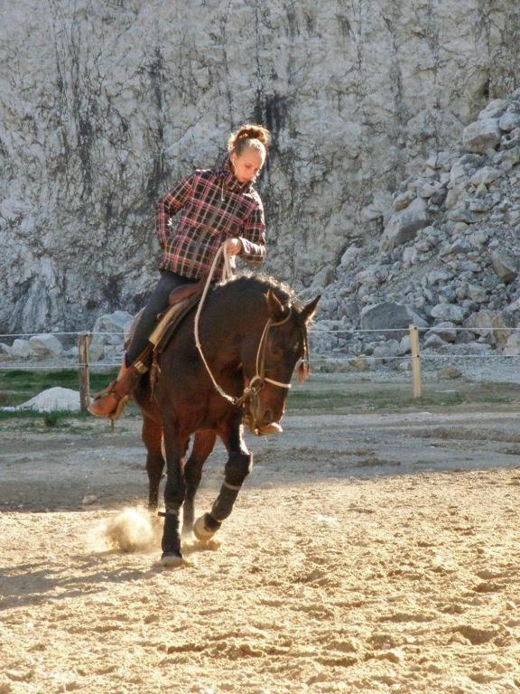 Villa Marietta Equino Sitno Donje Екстериор снимка